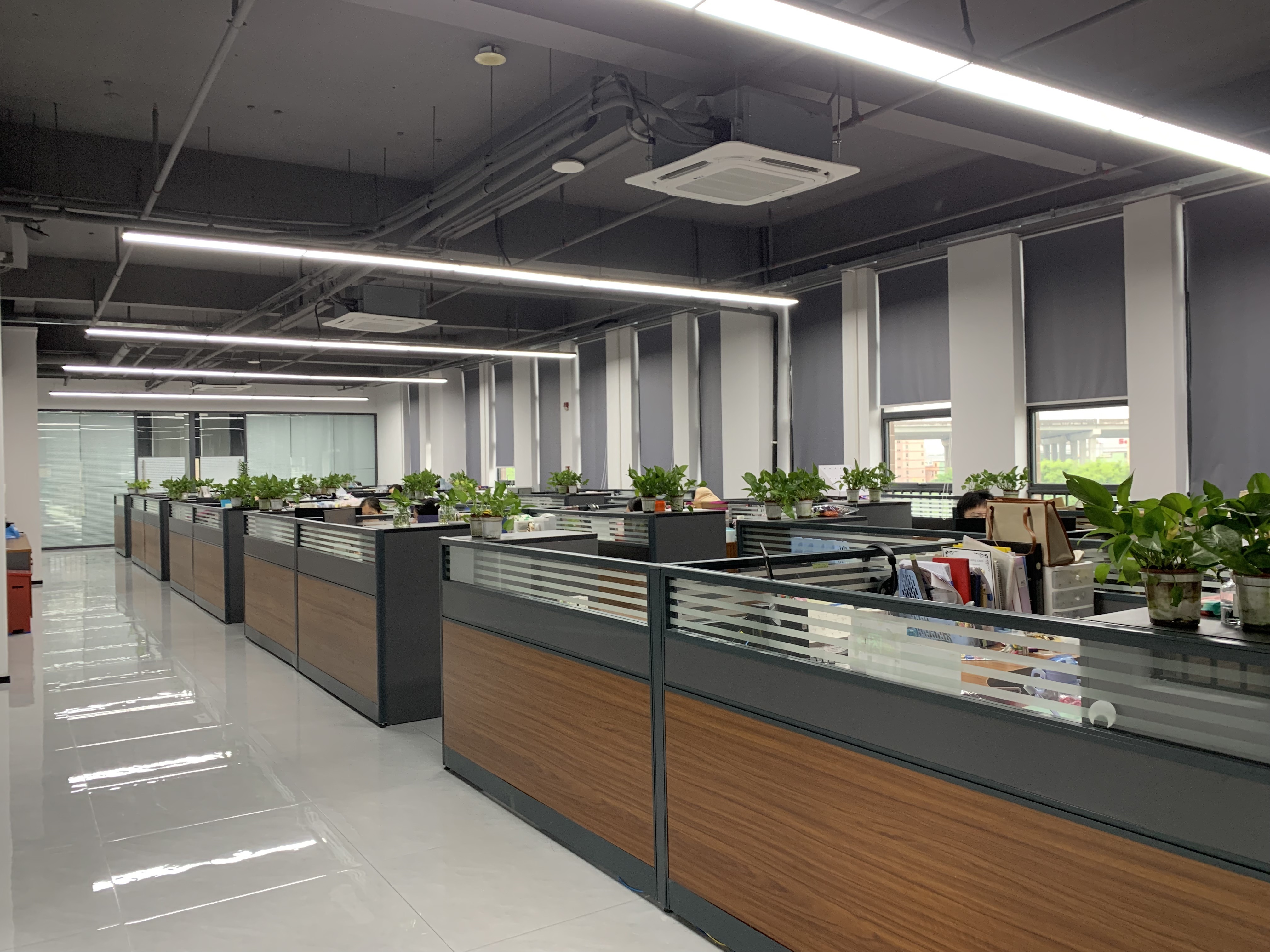 China RICHSTAR (SHENZHEN) LIMITED Perfil da companhia